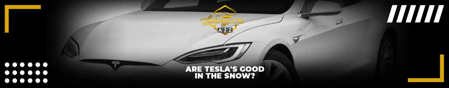 Le Tesla sono buone sulla neve?