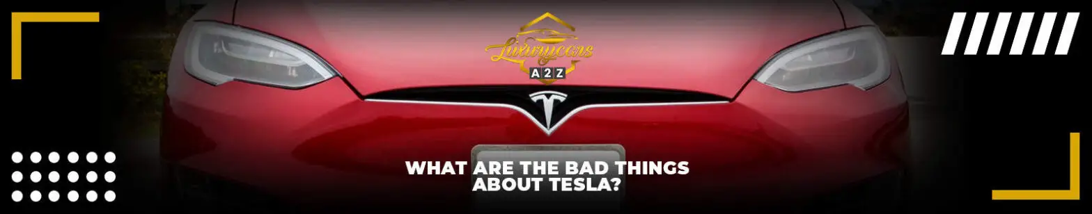 Quali sono gli aspetti negativi di Tesla?