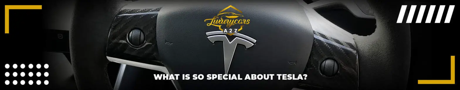 Cosa c'è di così speciale in Tesla?