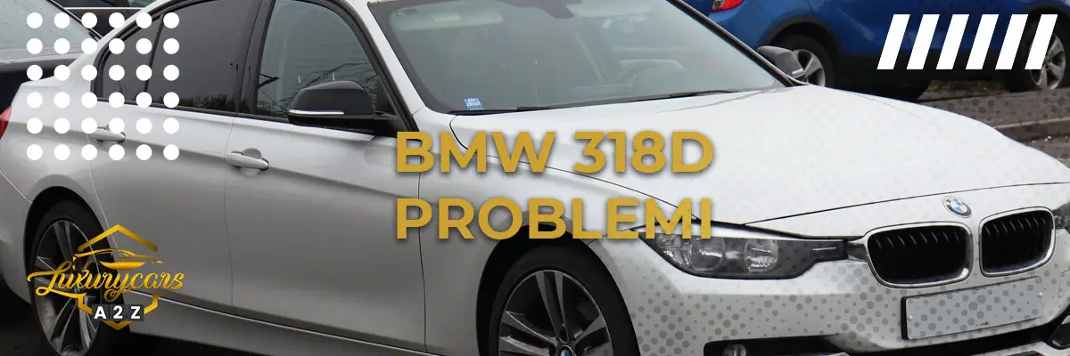 BMW 318d Problemi
